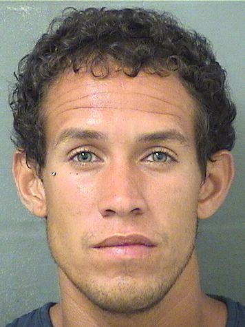  RAFAEL G CALIXTO Results from Palm Beach County Florida for  RAFAEL G CALIXTO