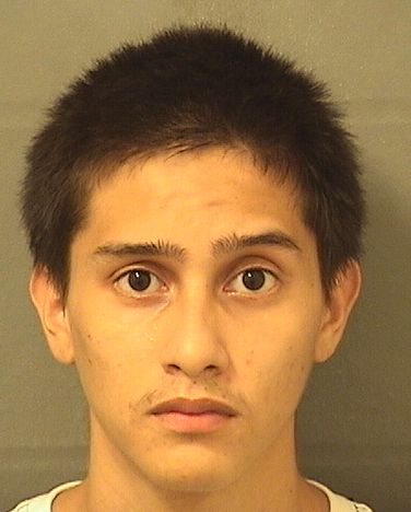  JORGE MARIO GARCIA Results from Palm Beach County Florida for  JORGE MARIO GARCIA