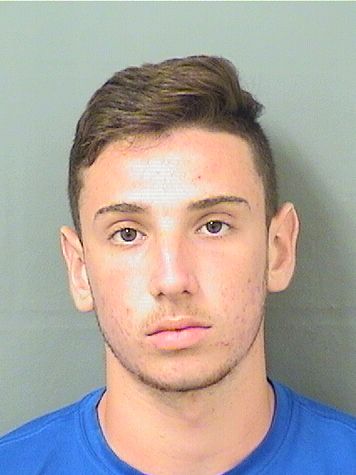  ALEXANDER JUSTIN MINEO Results from Palm Beach County Florida for  ALEXANDER JUSTIN MINEO