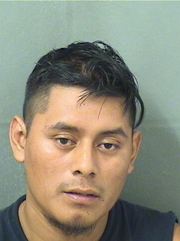  SANTIAGO LEONARDO RAMIREZ MATEO Results from Palm Beach County Florida for  SANTIAGO LEONARDO RAMIREZ MATEO