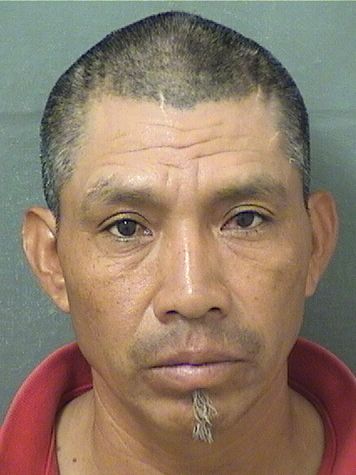  JUAN MARTIN GOMEZ Results from Palm Beach County Florida for  JUAN MARTIN GOMEZ