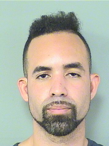  CARLOS A SANCHEZ Results from Palm Beach County Florida for  CARLOS A SANCHEZ