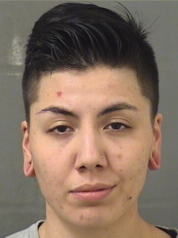  ANAP GANOZAMESIA Photo For  ANAP GANOZAMESIA