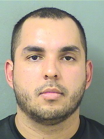  JUAN ANDRES WALLIS Results from Palm Beach County Florida for  JUAN ANDRES WALLIS