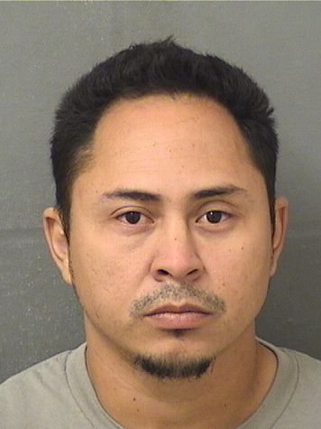  MARVIN JAVIER ZAPATAVALLEJOS Results from Palm Beach County Florida for  MARVIN JAVIER ZAPATAVALLEJOS