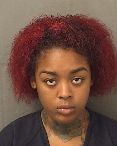  ALICIA AJAHNE NOBOA Results from Palm Beach County Florida for  ALICIA AJAHNE NOBOA