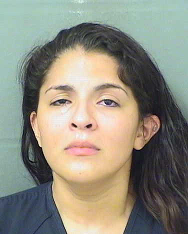  GICELLE ALINA MENA Results from Palm Beach County Florida for  GICELLE ALINA MENA