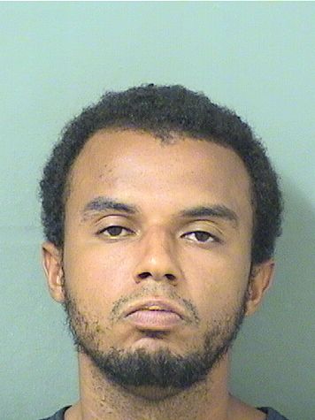  MICHAEL ANTHONY MCCRAY Results from Palm Beach County Florida for  MICHAEL ANTHONY MCCRAY