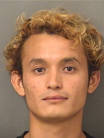  JOEL ALCIDES ALVAREZRENDEROS Results from Palm Beach County Florida for  JOEL ALCIDES ALVAREZRENDEROS