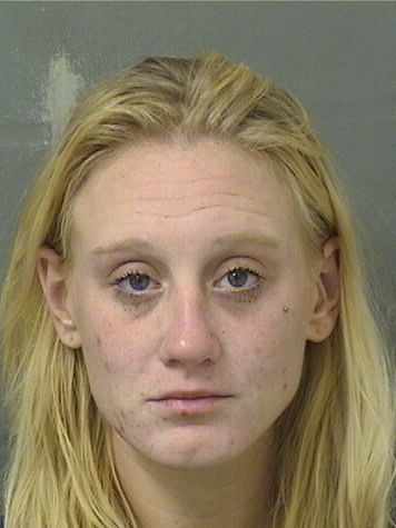  ARIANNE E RITTER Results from Palm Beach County Florida for  ARIANNE E RITTER