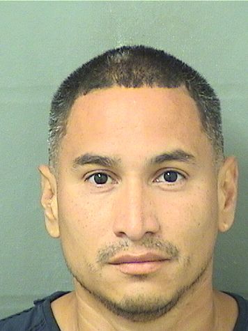  MARCOS ELIAS BUSTOS Results from Palm Beach County Florida for  MARCOS ELIAS BUSTOS