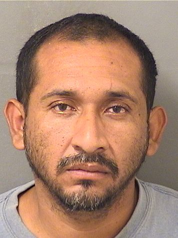  ADAIN ALBERTO GONZALEZ Resultados de la busqueda para Palm Beach County Florida para  ADAIN ALBERTO GONZALEZ