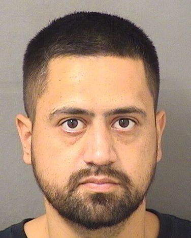  JOSE MANUEL ACOSTA Results from Palm Beach County Florida for  JOSE MANUEL ACOSTA