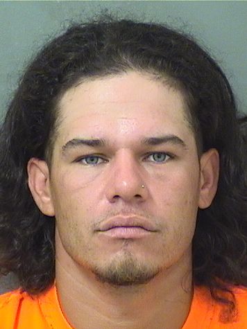  CARLOS M LOZADA Resultados de la busqueda para Palm Beach County Florida para  CARLOS M LOZADA