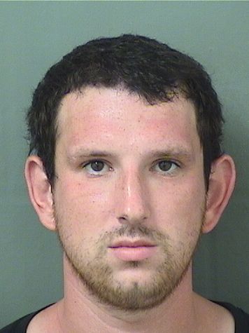  DAVID SAMUEL GUTMAN Results from Palm Beach County Florida for  DAVID SAMUEL GUTMAN