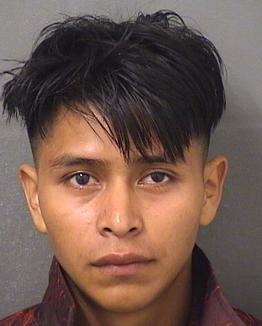  SEBASTIAN SEBASTIAN PEDRO Results from Palm Beach County Florida for  SEBASTIAN SEBASTIAN PEDRO