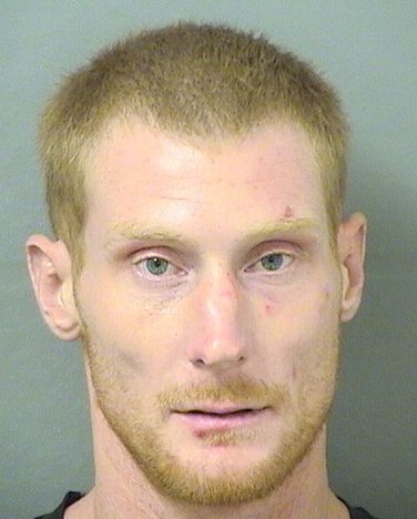  ANDREW JAMES GRAY Results from Palm Beach County Florida for  ANDREW JAMES GRAY