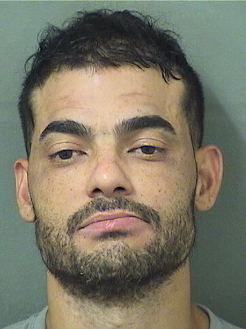  ANGEL RAFEL RIVERAGARCIA Results from Palm Beach County Florida for  ANGEL RAFEL RIVERAGARCIA