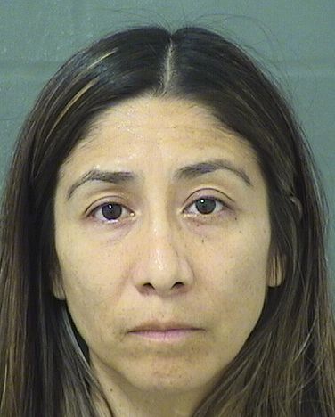  CAROLINA E OLMEDO Results from Palm Beach County Florida for  CAROLINA E OLMEDO