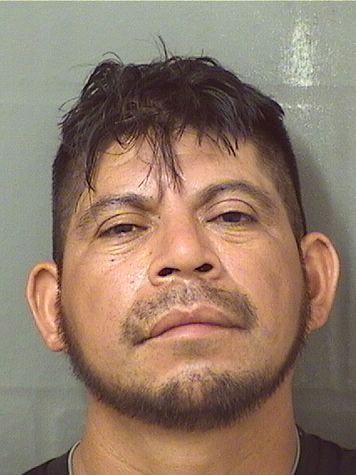  EMILIANO PEREZ Results from Palm Beach County Florida for  EMILIANO PEREZ