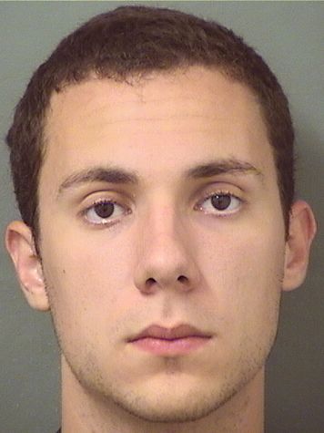  ANDREW ELLIOTT SANCHEZ Results from Palm Beach County Florida for  ANDREW ELLIOTT SANCHEZ