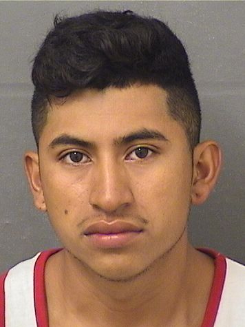 FREDY EDUVIEL LOPEZSAMAYOA Results from Palm Beach County Florida for FREDY EDUVIEL LOPEZSAMAYOA FREDY EDUVIEL LOPEZSAMAYOA Results from Palm Beach County Florida for FREDY EDUVIEL LOPEZSAMAYOA