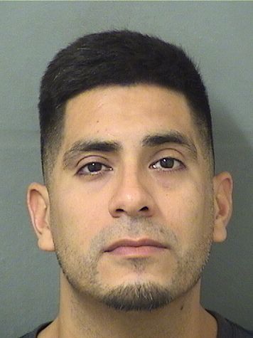  MIGUEL CARLOS CORDERO Results from Palm Beach County Florida for  MIGUEL CARLOS CORDERO
