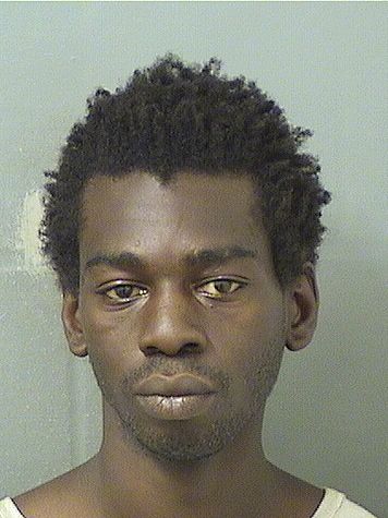  JUSTIN TIMOTHY TERRELL SCOTT Results from Palm Beach County Florida for  JUSTIN TIMOTHY TERRELL SCOTT