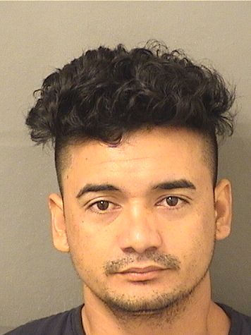 DAVID ALEMANANDRADE resultados de la busqueda para Palm Beach County Florida para  DAVID ALEMANANDRADE  DAVID ALEMANANDRADE Resultados de la busqueda para Palm Beach County Florida para  DAVID ALEMANANDRADE