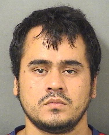  CARLOS J ORTEGABELMAN Results from Palm Beach County Florida for  CARLOS J ORTEGABELMAN