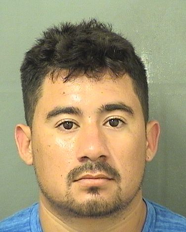  MARLON E CERRATO Results from Palm Beach County Florida for  MARLON E CERRATO