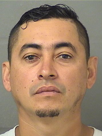  ALFONZO ROSALES Resultados de la busqueda para Palm Beach County Florida para  ALFONZO ROSALES