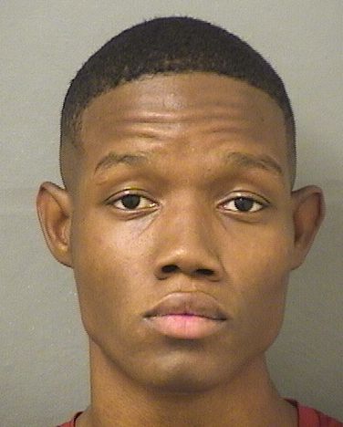  OBED BERGERON LAJEUNESSE Results from Palm Beach County Florida for  OBED BERGERON LAJEUNESSE