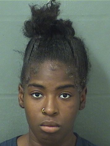  ANTOINETTE TATYANA HORSFORD Results from Palm Beach County Florida for  ANTOINETTE TATYANA HORSFORD