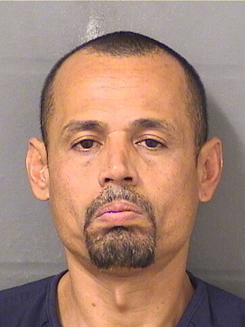  JOSE MANUEL MATIASIRIZARRY Results from Palm Beach County Florida for  JOSE MANUEL MATIASIRIZARRY
