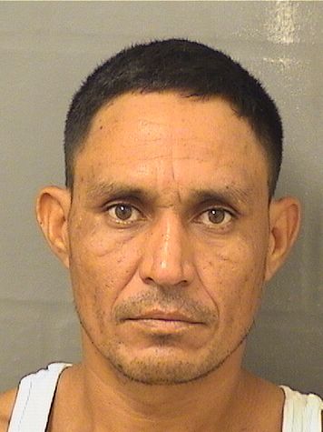 JUAN SOLESS Photos For  JUAN SOLESS  JUAN SOLESS Photo For  JUAN SOLESS