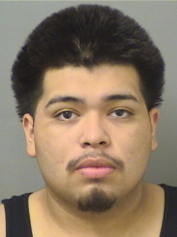  CHARLIE MENDOZA Results from Palm Beach County Florida for  CHARLIE MENDOZA