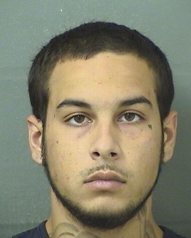  CHRISTIAN NOAH FIELD Results from Palm Beach County Florida for  CHRISTIAN NOAH FIELD