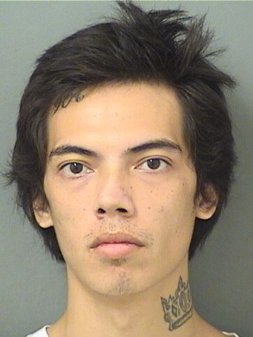  JOSEPH ALEXANDER LANOY Resultados de la busqueda para Palm Beach County Florida para  JOSEPH ALEXANDER LANOY