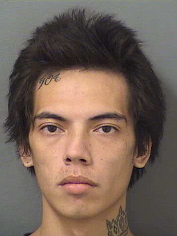  JOSEPH ALEXANDER LANOY Photo