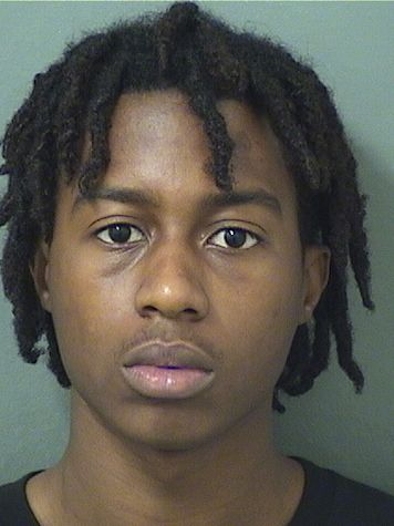  DONLAYAN BLOVE RENE Results from Palm Beach County Florida for  DONLAYAN BLOVE RENE