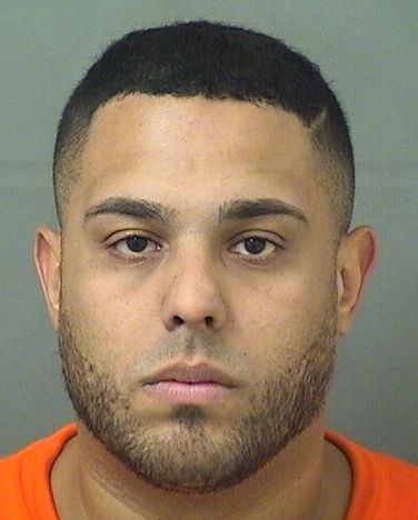  MICHAEL ANTHONY LOPEZVAZQUEZ Results from Palm Beach County Florida for  MICHAEL ANTHONY LOPEZVAZQUEZ