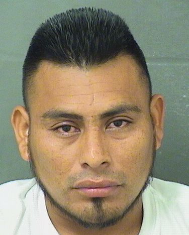  PASCUAL VASQUEZ MORALES Results from Palm Beach County Florida for  PASCUAL VASQUEZ MORALES