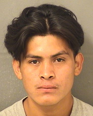  MIGUEL ANDRES FRANCISCO Results from Palm Beach County Florida for  MIGUEL ANDRES FRANCISCO