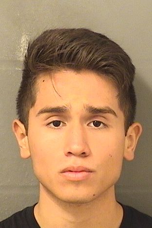  HENRY ABEL CASTILLO Results from Palm Beach County Florida for  HENRY ABEL CASTILLO