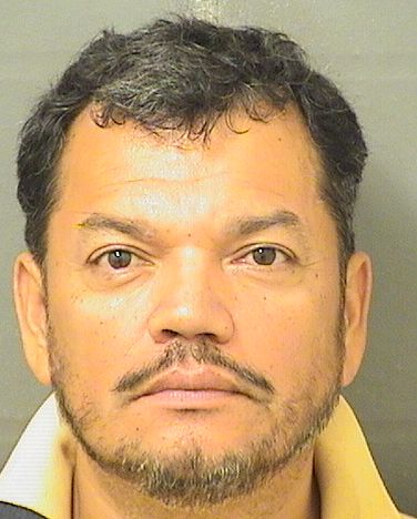  HENRY CARVAJAL Results from Palm Beach County Florida for  HENRY CARVAJAL