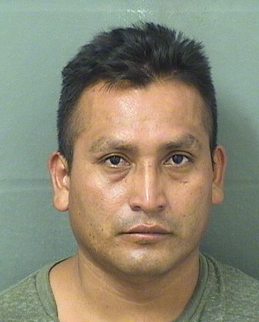  ISMAEL GOMEZLOPEZ Results from Palm Beach County Florida for  ISMAEL GOMEZLOPEZ