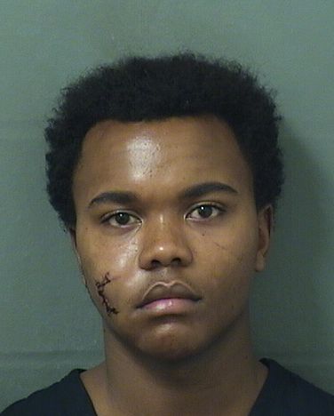  DAVID GAOSITWE BLAKECOWNIE Results from Palm Beach County Florida for  DAVID GAOSITWE BLAKECOWNIE