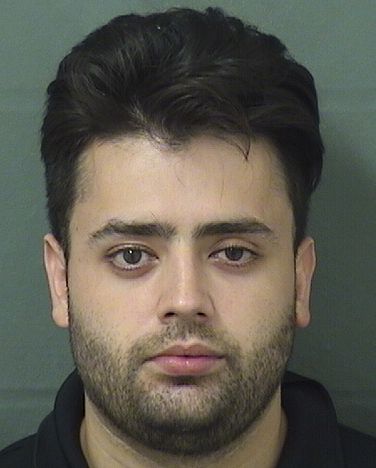  FRANCCESCO RICARDO MENACHO Results from Palm Beach County Florida for  FRANCCESCO RICARDO MENACHO