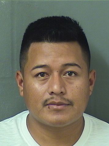  YONI GAMALIEL PEREZESCALANTE Results from Palm Beach County Florida for  YONI GAMALIEL PEREZESCALANTE